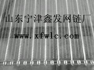 鑫发网链厂生产的食品网带供应福建省福州、漳州、泉州、莆田