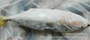 批发大量冰冻白面鱼 优质冰鲜白面鱼 价格实惠