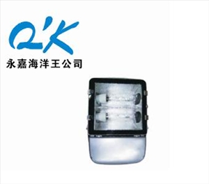 NFC9131-J250海洋王路灯（NFC9131）