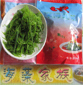 红绿菜.水晶藻.海发菜.龙须菜(福建.霞浦)  