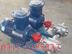 KCB不锈钢齿轮泵,KCB齿轮泵,KCB齿轮油泵