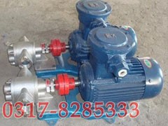 KCB不锈钢小流量齿轮泵,不锈钢齿轮泵,齿轮泵
