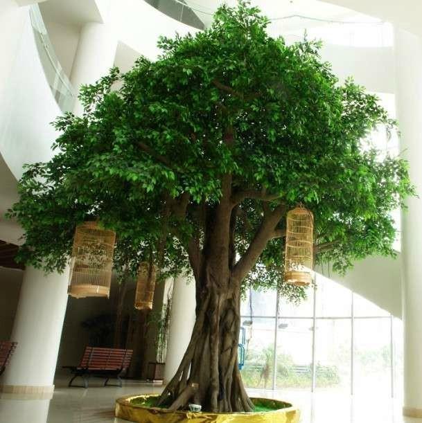 仿真植物厂家 仿真植物批发 采用高性能环氧树脂和玻璃纤维缠绕成型,树杆内采用国标钢结构,树叶采用ABS塑料或PU等高性能防阻燃环保材料。耐腐蚀性能良好,耐老化耐高温防阻燃更加环保抗风能力强,抗紫外线。沈阳仿真植物厂家,仿真椰子树,仿真植物盆景,仿生仿真树,仿真植物报价。 仿真植物批发 华北仿真植物批发 用于室内装饰,主要用于酒店,商场,宾馆,写字楼,休闲中心,餐厅仿真环境绿化等等。沈阳仿真植物,仿真海藻树,仿真椰子树厂家,仿真植物厂家,东北仿真植物。