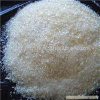 上海津颂公司长期现货供应乳糖酶