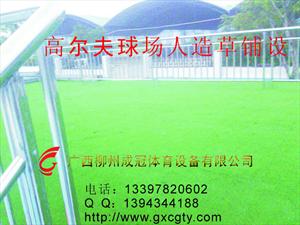 广西人造草坪材料销售 南宁运动跑道价格 柳州足球场铺设