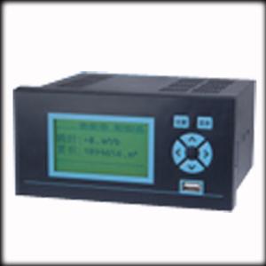 XSR10R系列 无纸记录仪