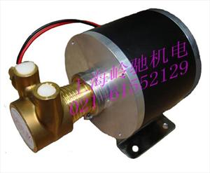 低噪音紧凑型无刷直流高压旋转叶片泵 稳压泵 增压泵 可调速