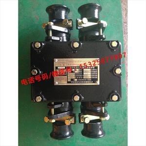 BHD2-100/1140-4G矿用低压接线盒生产厂家