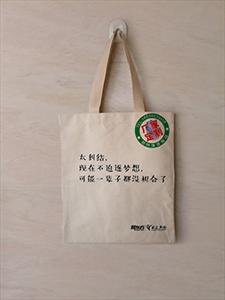 上海生产教育培训机构帆布手提袋厂家1帆布宣传手提袋定制尺寸