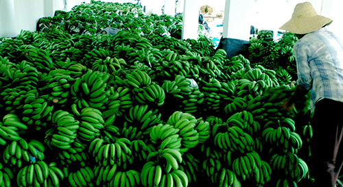 从农产品微博营销案例中学习如何在微博里做病