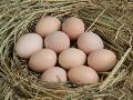 农产品网络销售之如何利用微信卖土鸡蛋