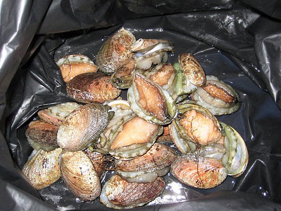 福建福州连江鲍鱼成为地理标志保护产品