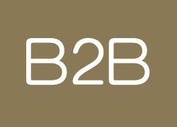 去年中小企业B2B市场营收规模达210.2亿元