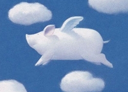 雷军：有梦就去实现  站在风口上猪都会飞