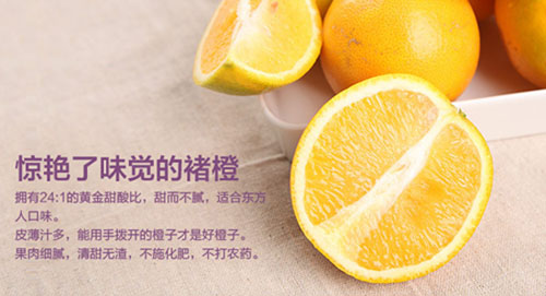 一场网络泡菜节 三个农产品营销的秘密 _ 案例