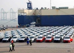前11月福建自贸区整车进口贸易同增1.33倍