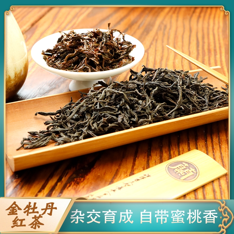 福建蜜桃香高山茶散裝500g頭春高香品種金牡丹紅茶